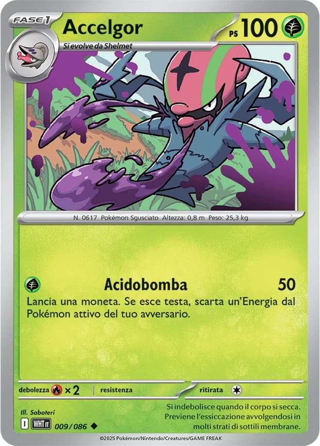 Accelgor (9)