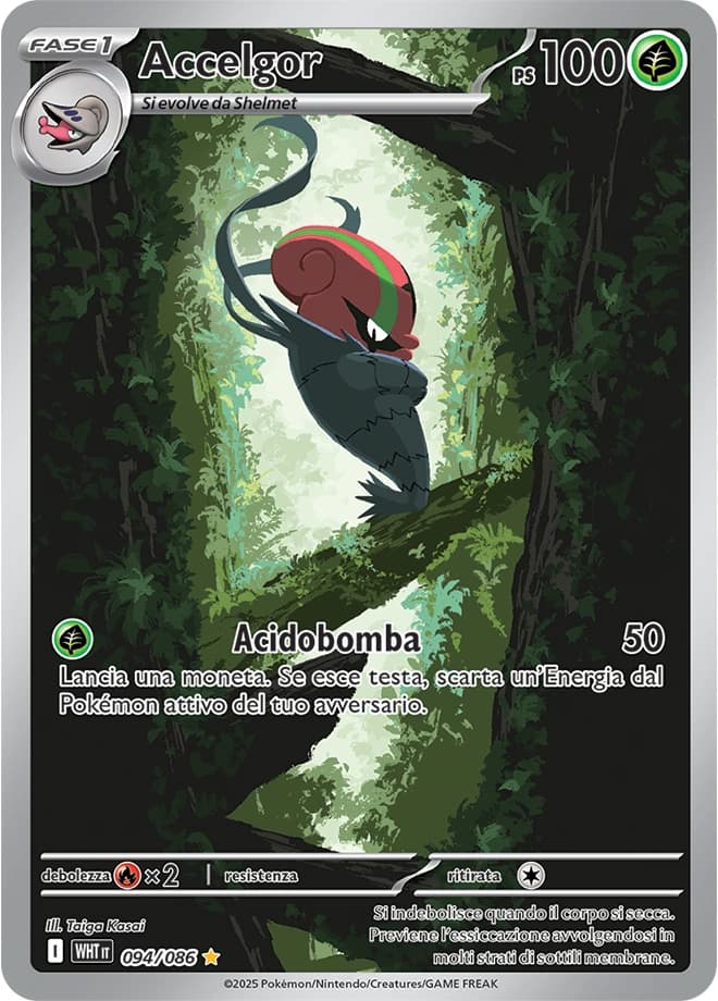 Accelgor (94)