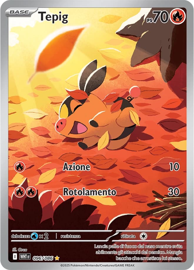 Tepig (96)
