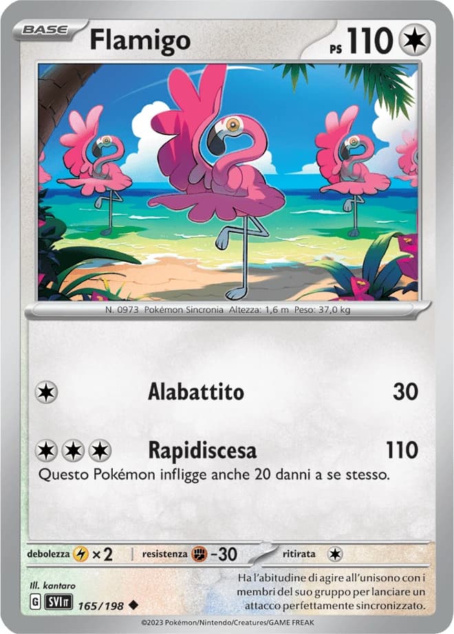 Flamigo (165)