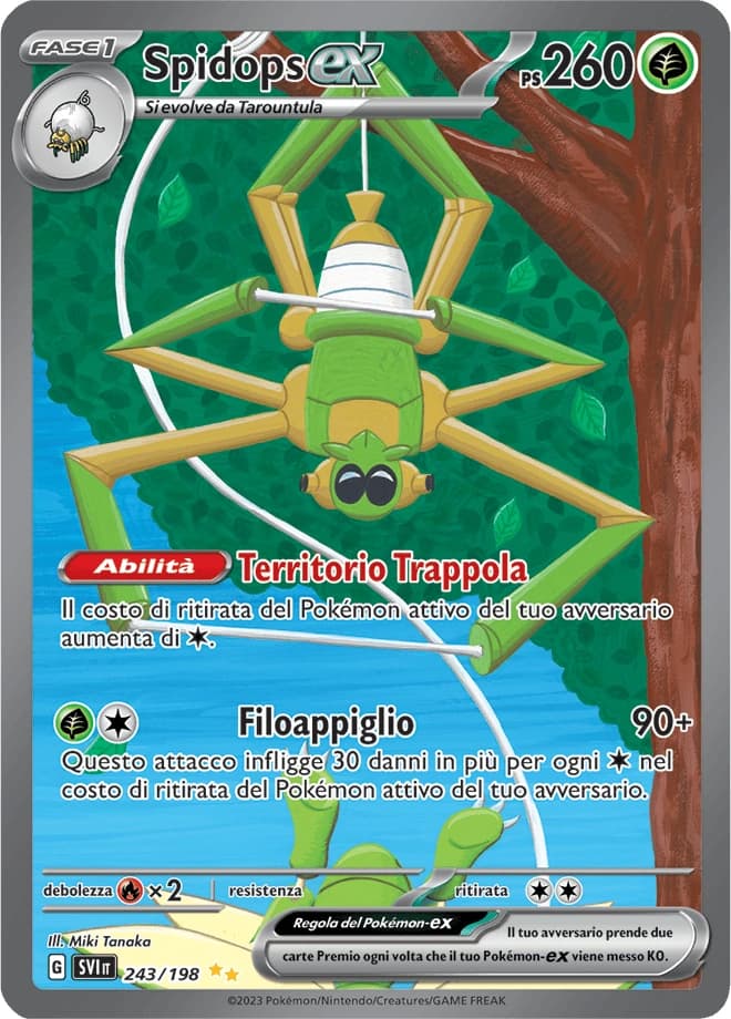 Spidops ex (243)
