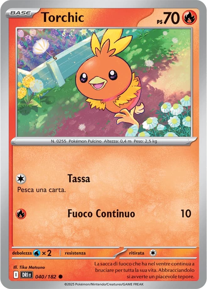 Torchic (40)