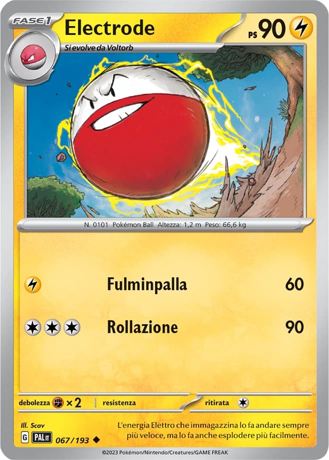 Electrode (67)