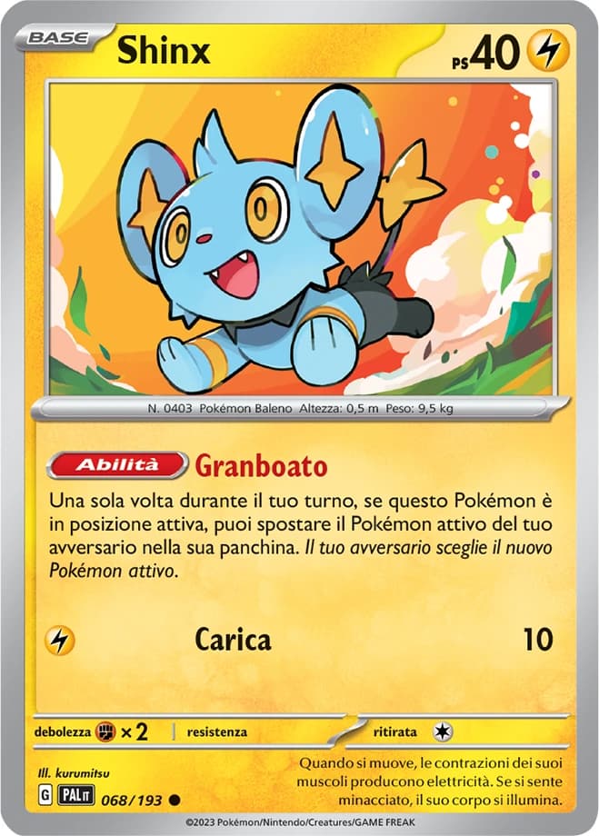 Shinx (68)