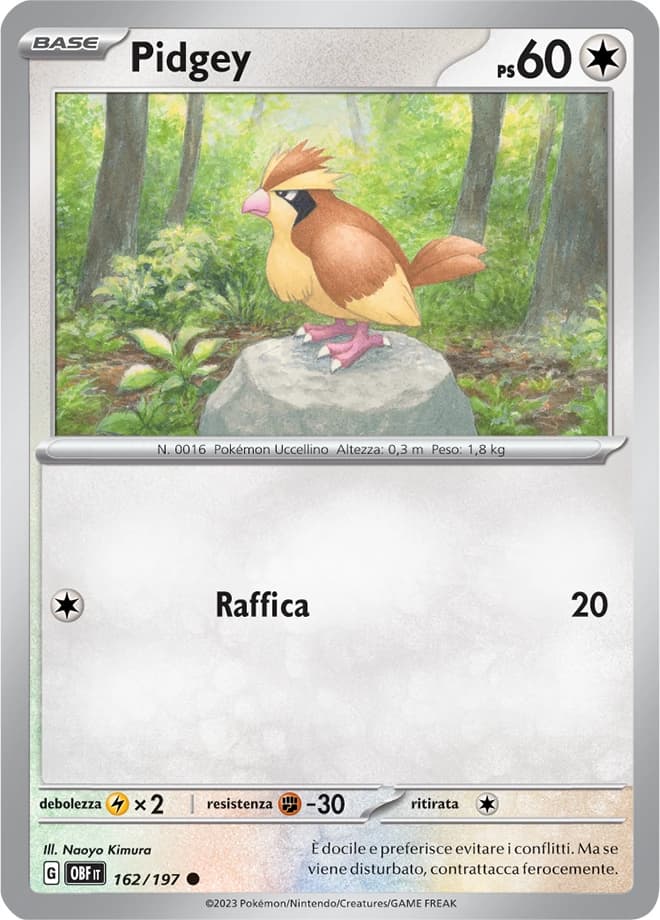 Pidgey (162)