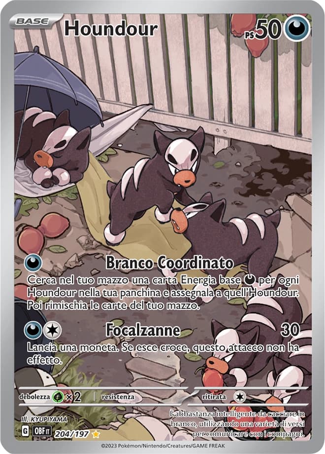 Houndour (204)