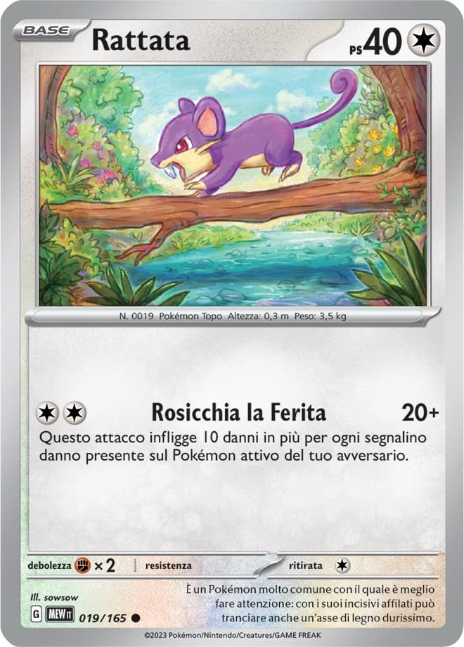 Rattata (19)