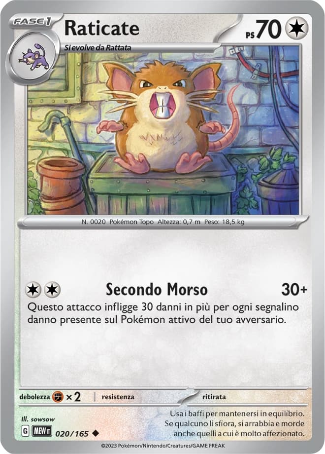 Raticate (20)