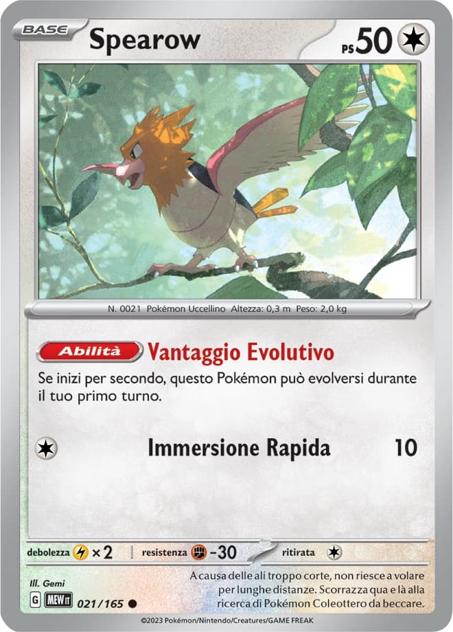 Spearow (21)