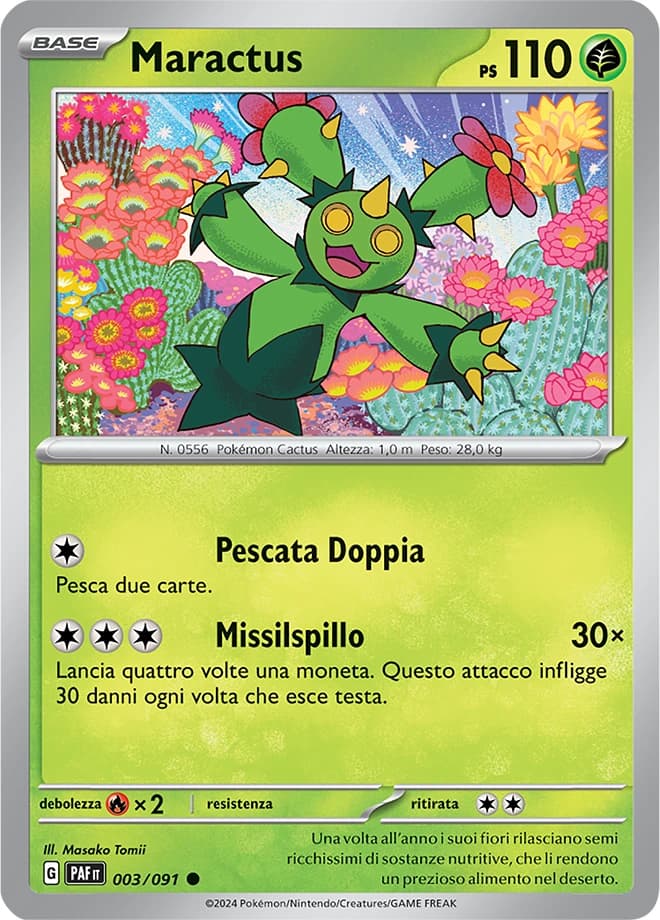 Maractus (3)