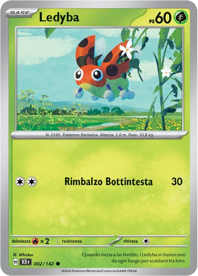 Ledyba (2)