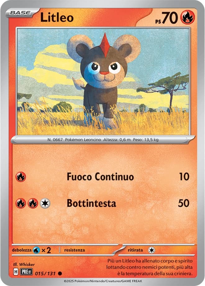 Litleo (15)