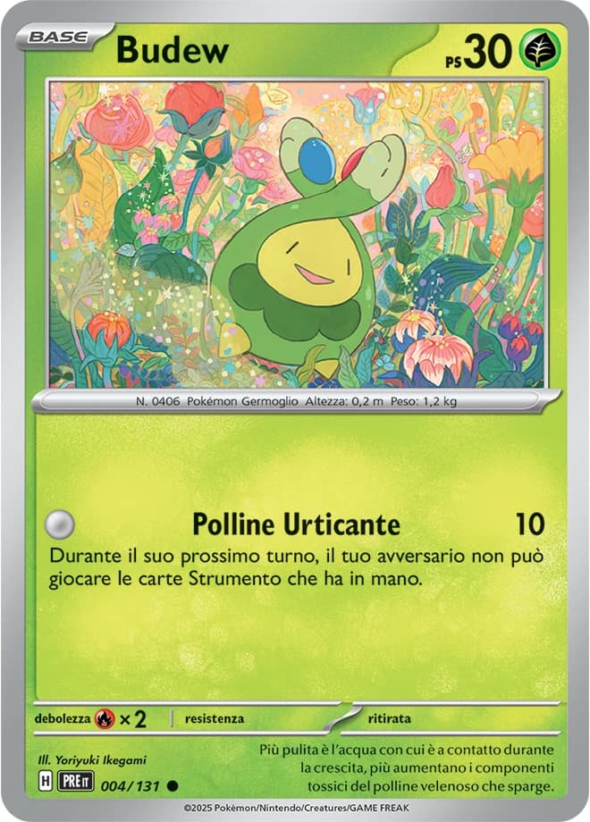 Budew (4)