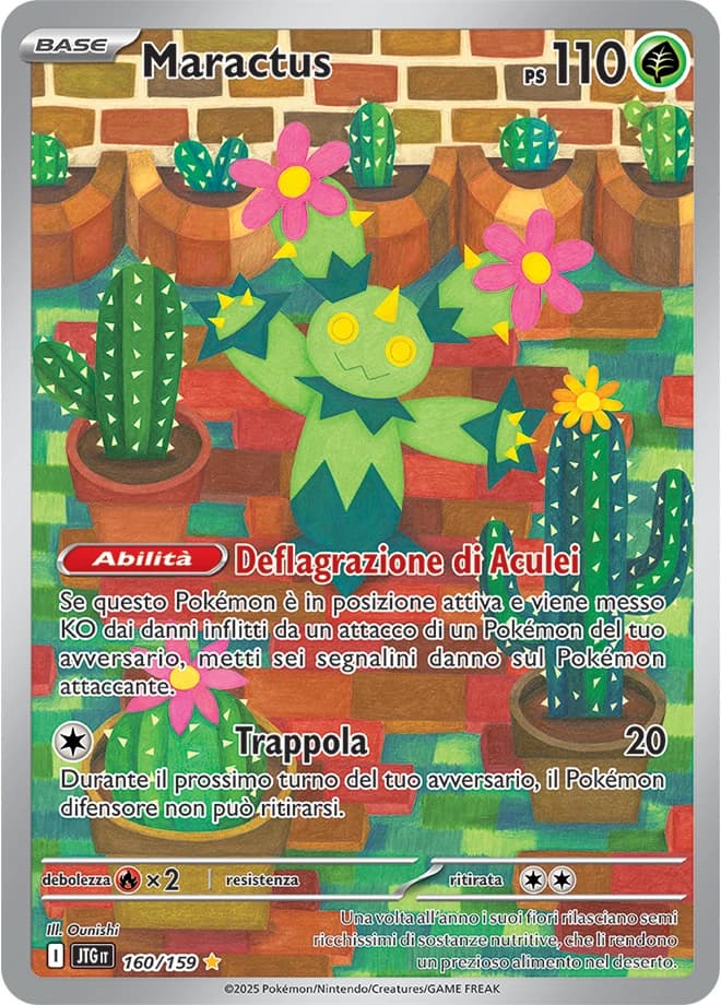 Maractus (160)
