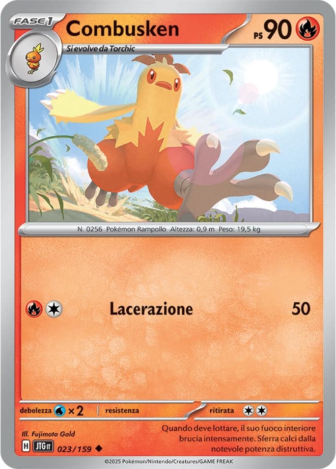 Combusken (23)
