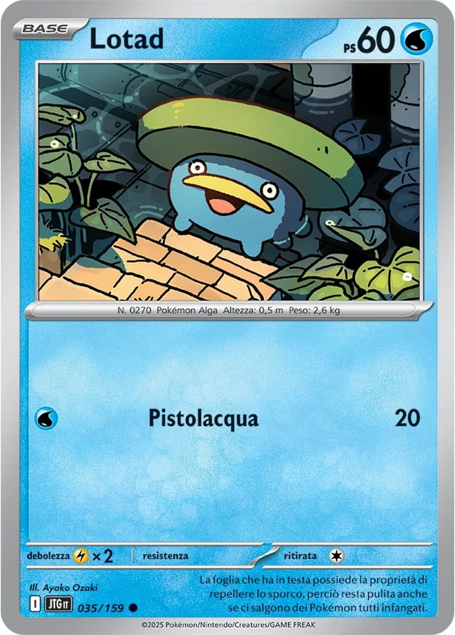 Lotad (35)