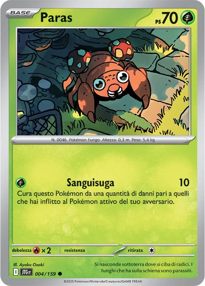 Paras (4)