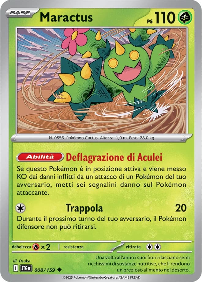 Maractus (8)