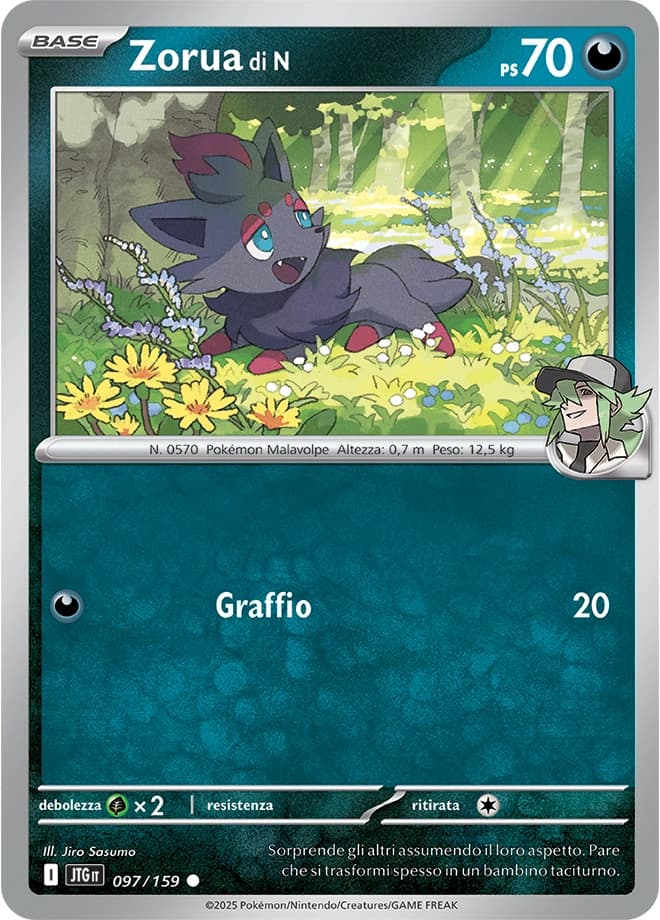 N's Zorua (97)