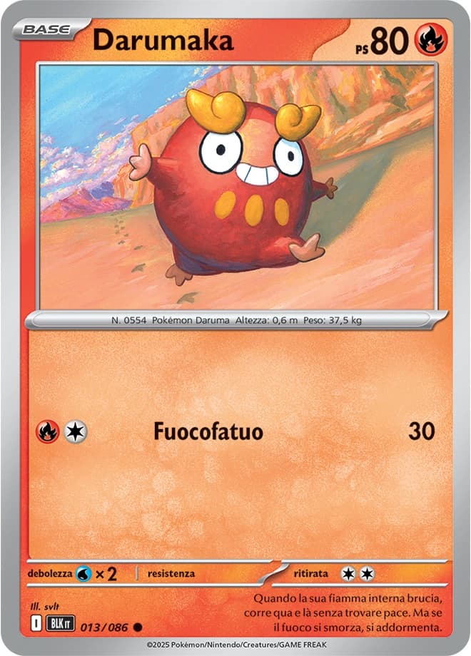 Darumaka (13)