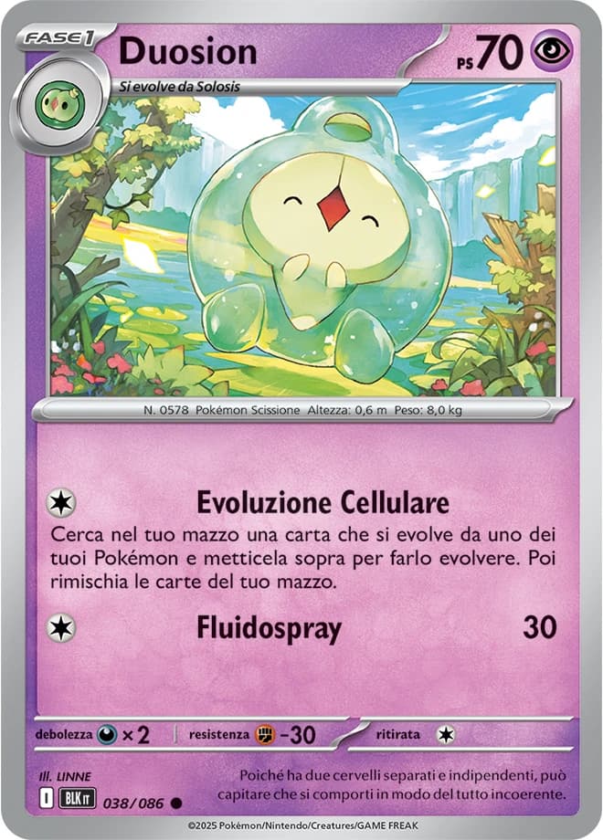 Duosion (38)