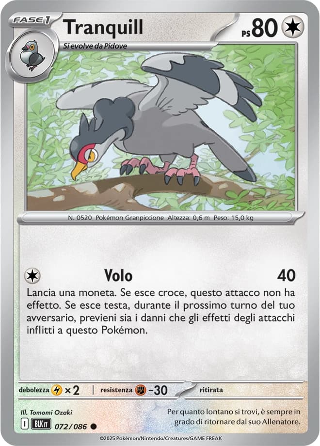 Tranquill (72)