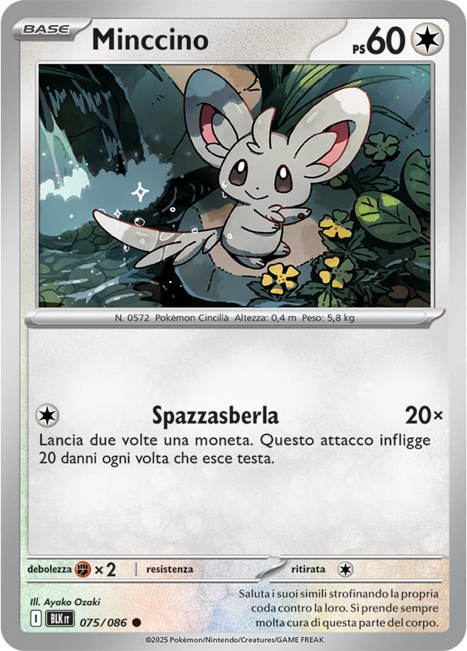 Minccino (75)