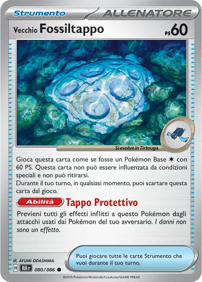 Antique Cover Fossil (60)