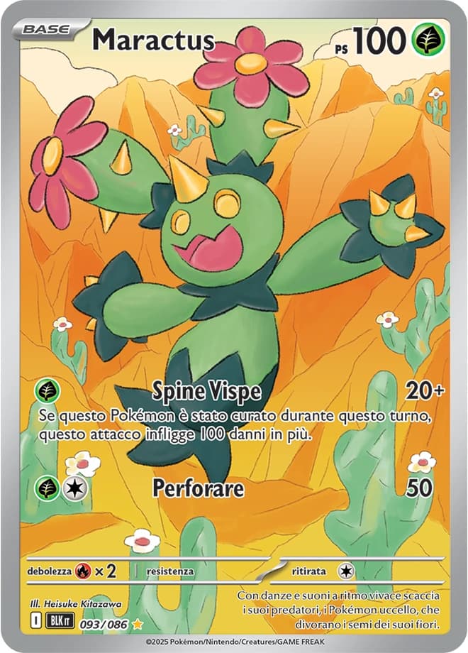 Maractus (93)