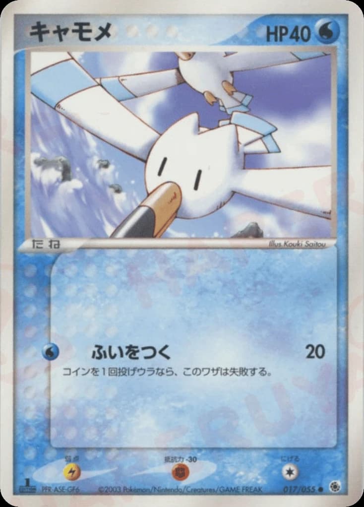 Wingull (17)
