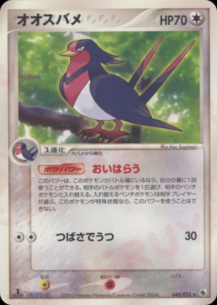 Swellow (40)