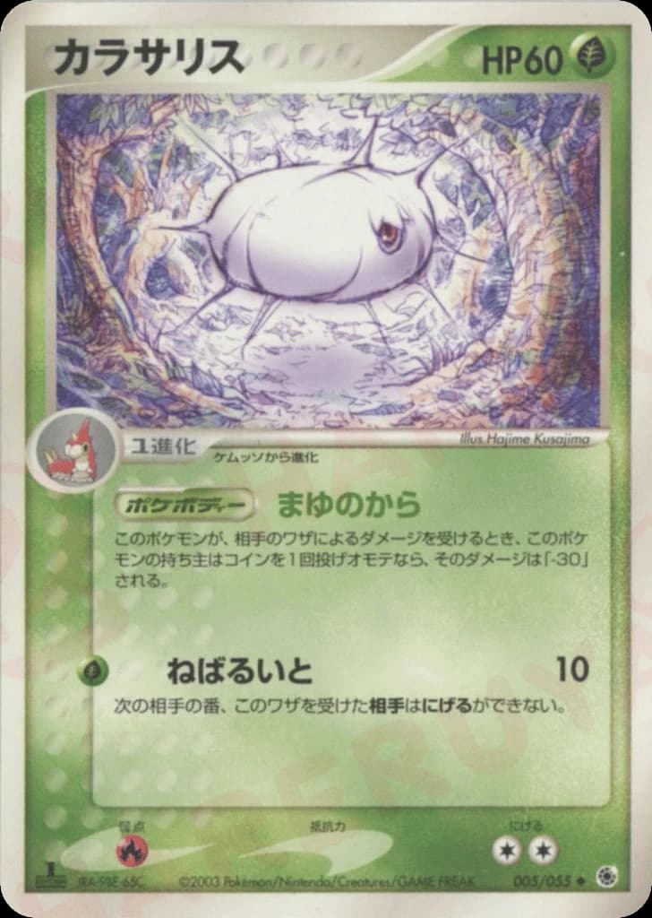 Silcoon (5)