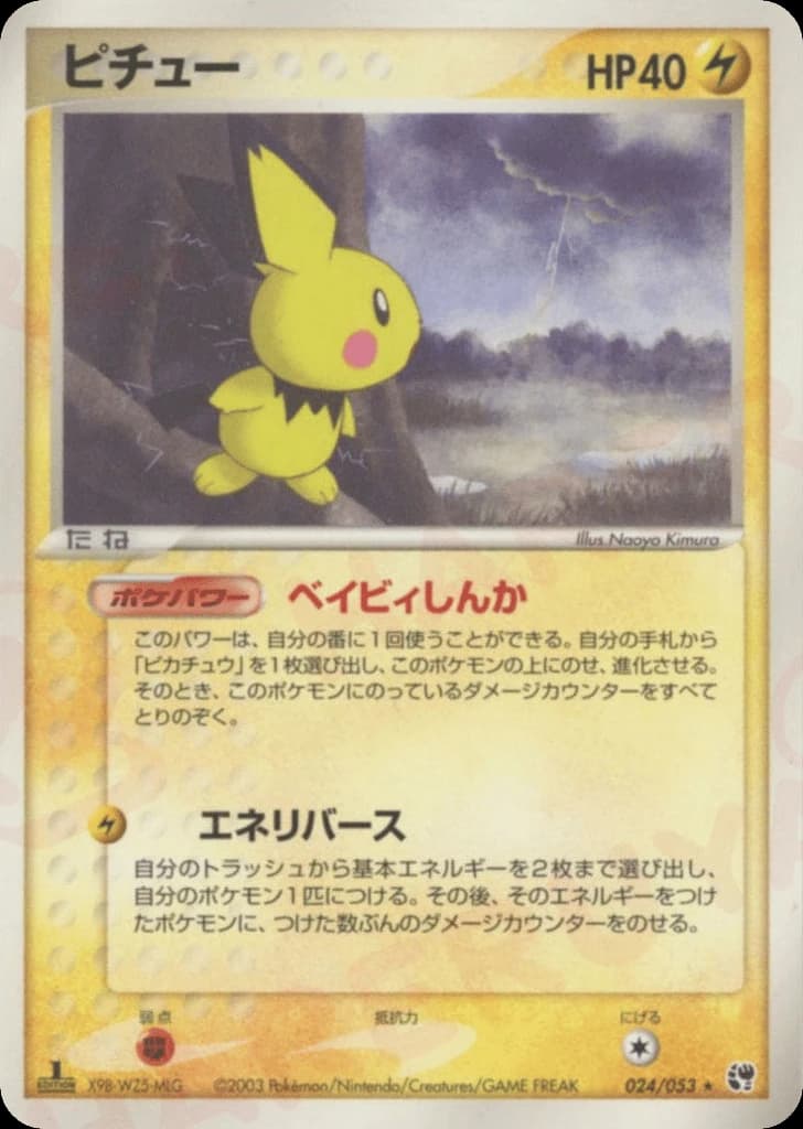 Pichu (24)
