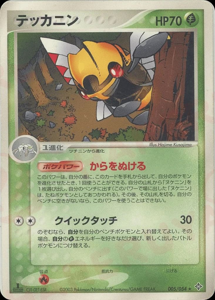Ninjask (5)