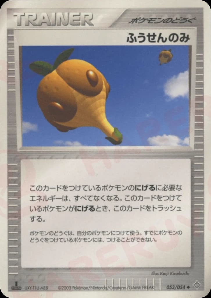 Balloon Berry (53)