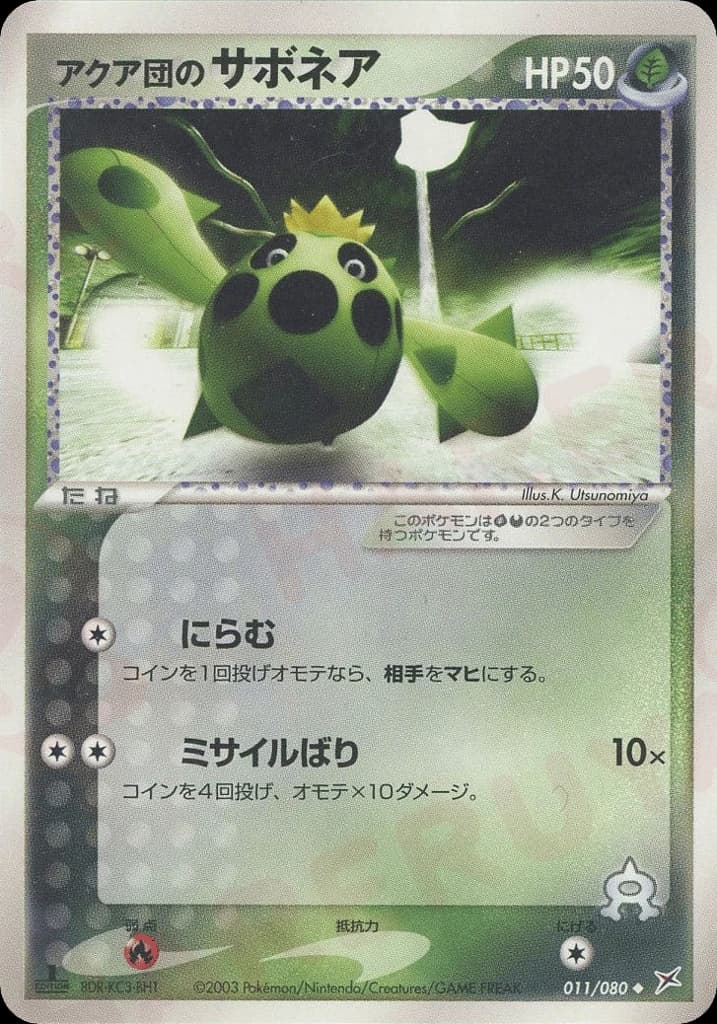Team Aqua's Cacnea (11)