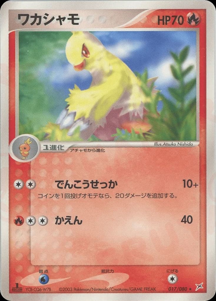 Combusken (17)