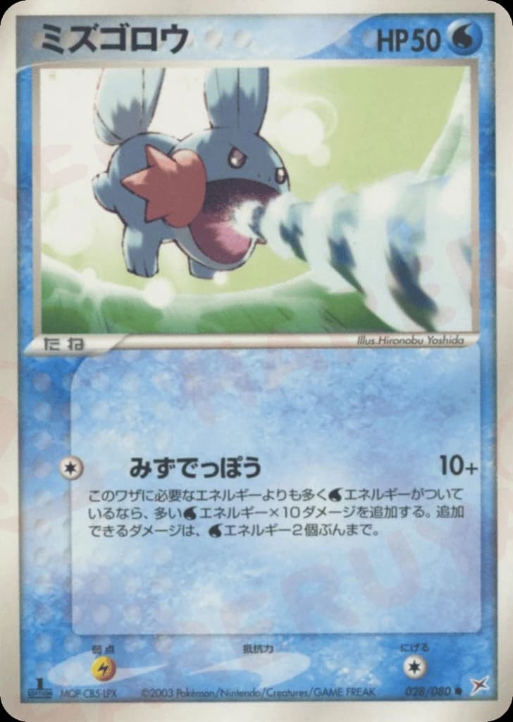 Mudkip (28)