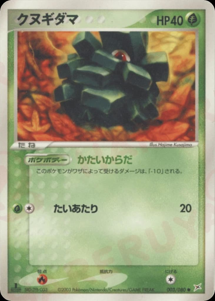 Pineco (3)