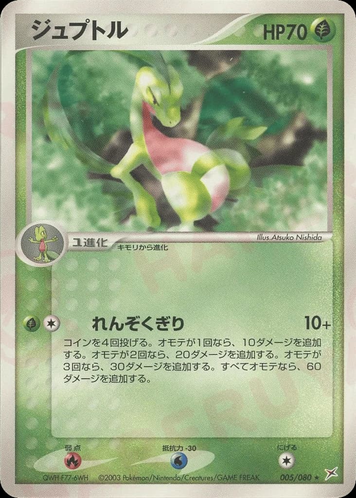 Grovyle (5)