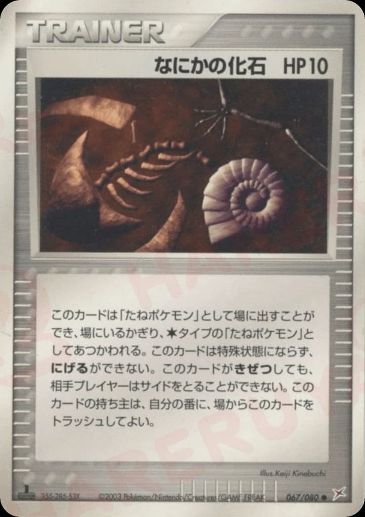 Mysterious Fossil (67)