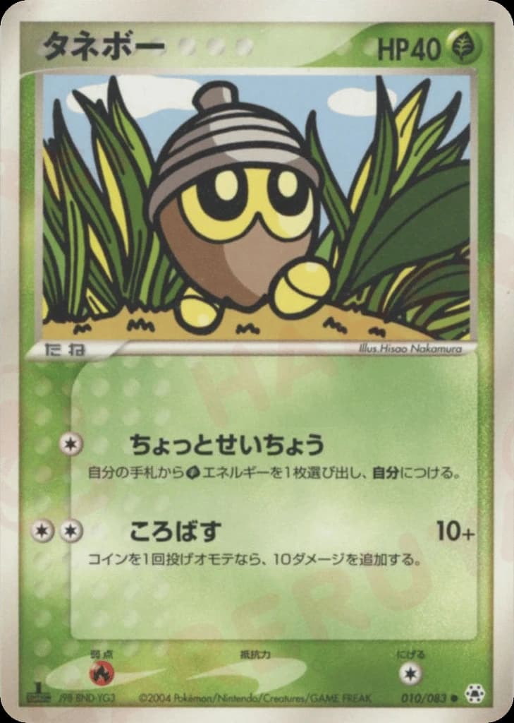 Seedot (10)
