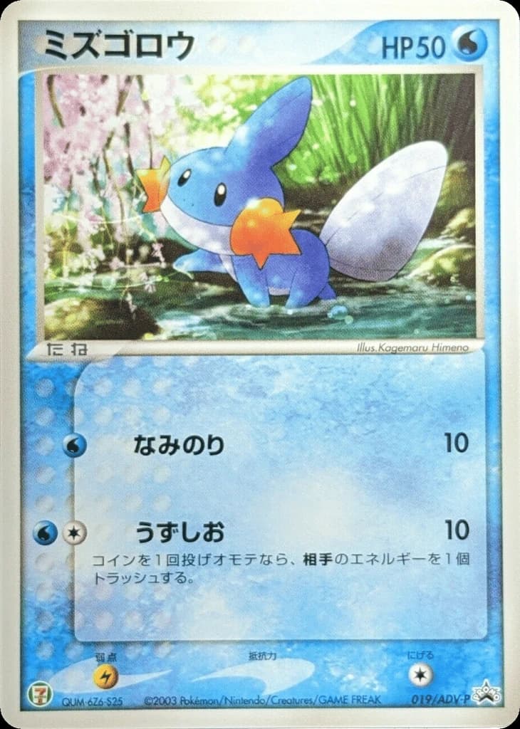 Mudkip (19)