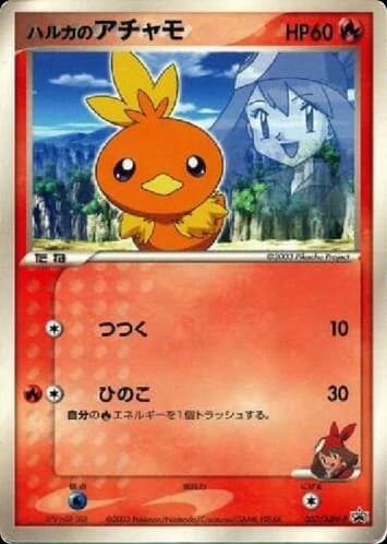 May's Torchic (37)