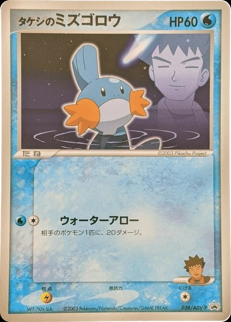 Brock's Mudkip (38)