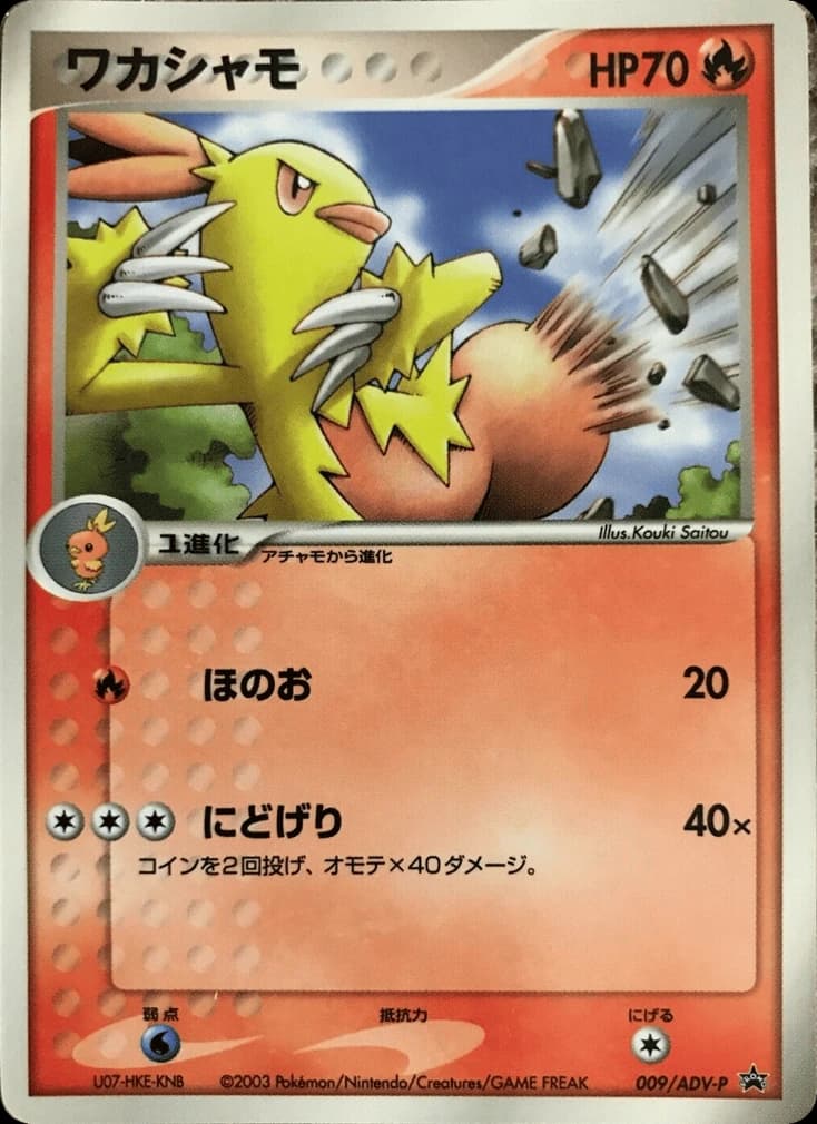 Combusken (9)