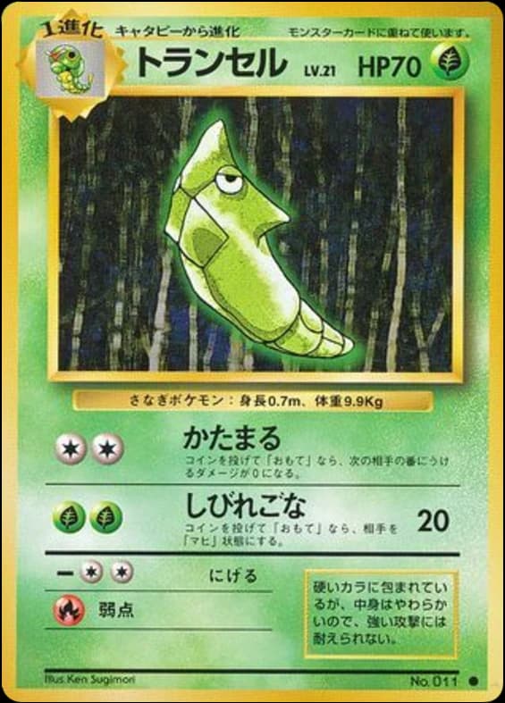 Metapod (11)