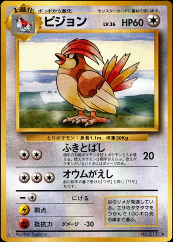 Pidgeotto (17)
