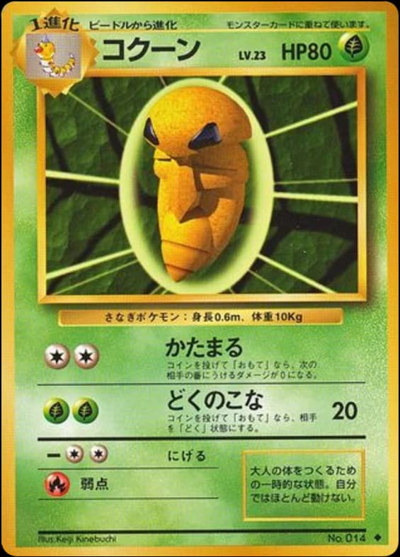 Kakuna (14)