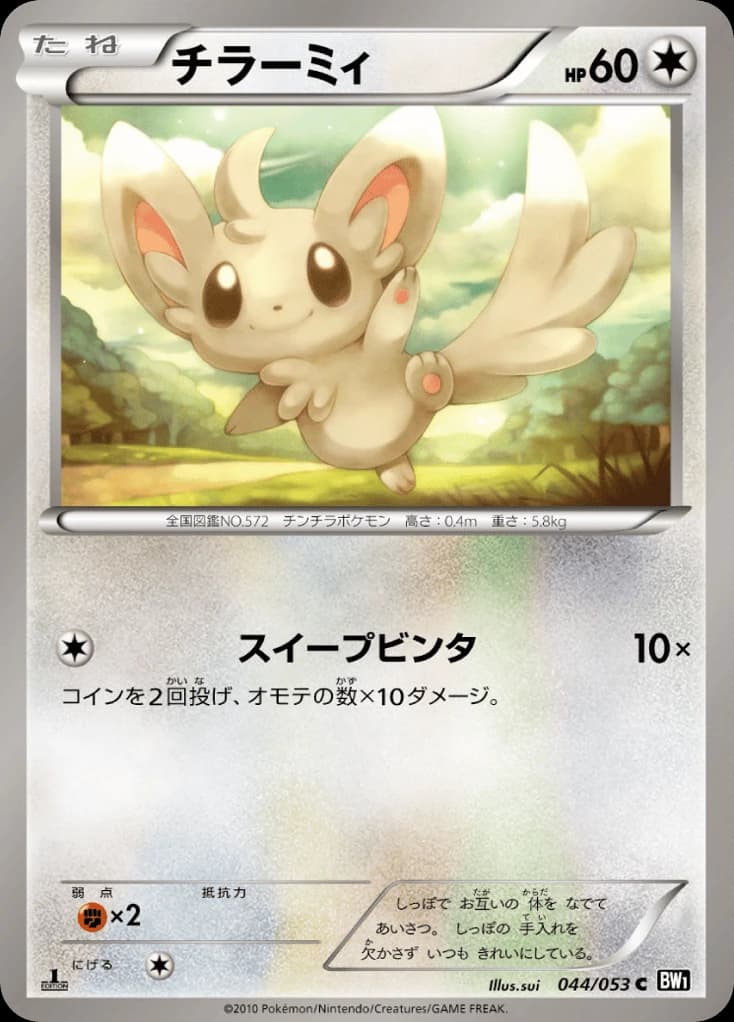 Minccino (44)